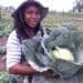 Farmers Choice founder, Andile Matukane, provides agriculture training services.
