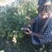 Nonkululeko Britton-Masekela, running the farm Kula, has an agricultural passion