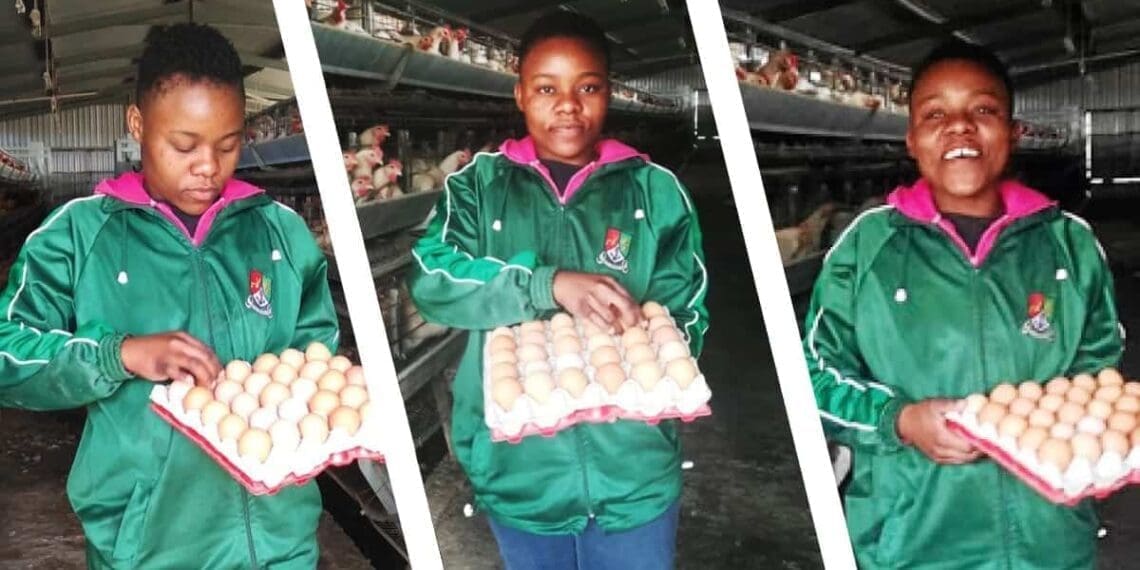 Young female farmer Mbalentle Sipingane, egg farmer of family business Manzoi Egg Farm.