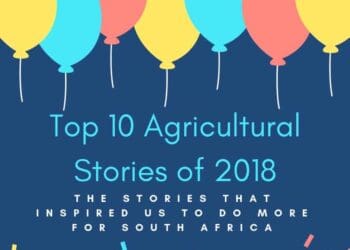 10 great stories you might have missed in 2018