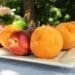 fruit farming | Stone Fruit season has arrived