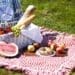Change your first-date game with the perfect picnic