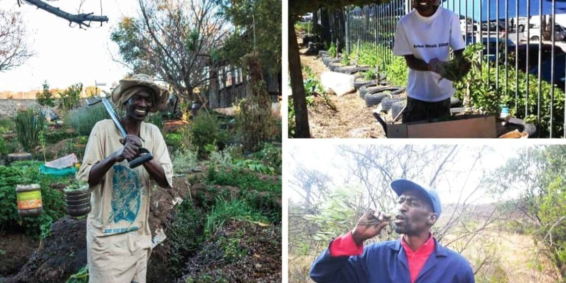 Starting with an assassination attempt and exile from his beloved town, Solly Tladi is now known as a pioneering agri-preneur, changing hundreds of lives.