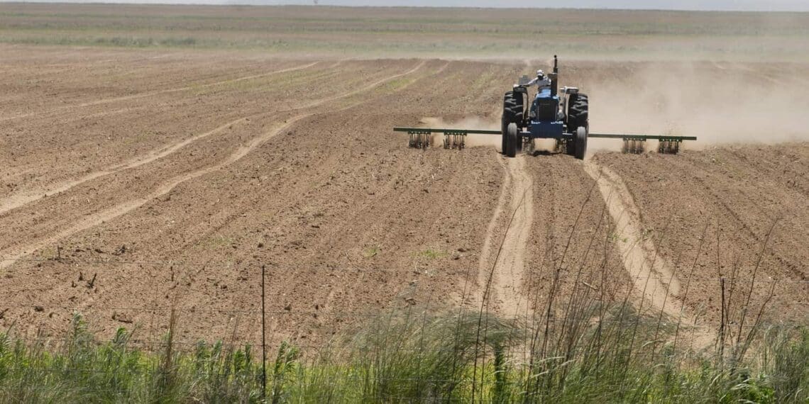 Drought disaster: Farmers across South Africa have been battling with the ongoing drought that has a negative impact on their farming operations. Photo: Supplied/Food For Mzansi