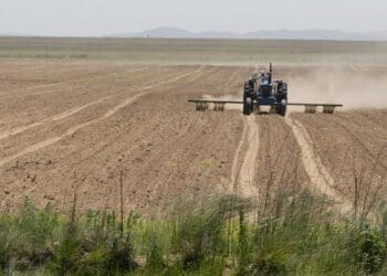 Drought disaster: Farmers across South Africa have been battling with the ongoing drought that has a negative impact on their farming operations. Photo: Supplied/Food For Mzansi