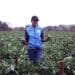 Mahlatse’s story of peppers, people and perseverance