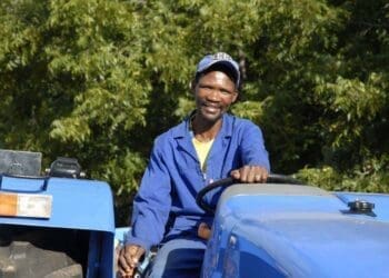 Willem Nkosi, a agri worker worker on a pecan farm in the Northern Cape Province, 2008.