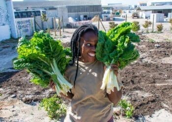 Zokhanyo Bikani is the farm supervisor at the Masakhane Community Farm in Gans. She dedicates herself to teach the community how to grow their own food.