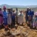 These women farm with dry beans, potatoes and maize in Enhlanhleni near Reichenau Mission. They are part of the Underberg Farmers Association.