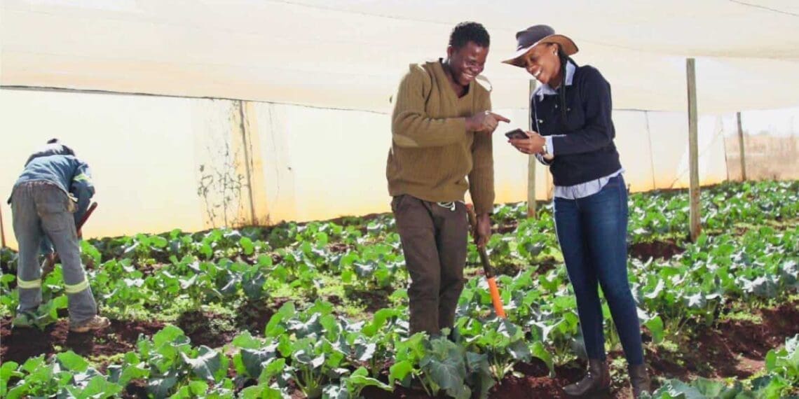 Agripreneur Mbali Nwoko found her passion in farming and is the founder and CEO of Green Terrace, an agricultural business focused on primary crop farming.