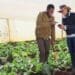 Agripreneur Mbali Nwoko found her passion in farming and is the founder and CEO of Green Terrace, an agricultural business focused on primary crop farming.