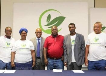 Black tobacco farmers in South Africa unite to form the Black Tobacco Farmers’ Association (BTFA).