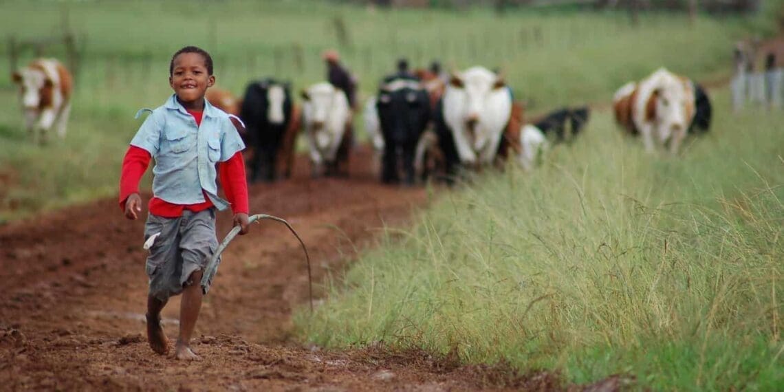 According to the National Development Plan of the government, the agricultural sector is expected to create approximately one million jobs by 2030.