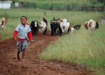 According to the National Development Plan of the government, the agricultural sector is expected to create approximately one million jobs by 2030.