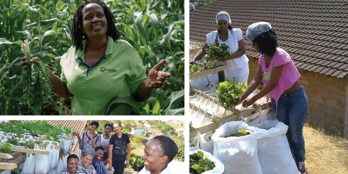Nonhlanhla Joye, the founder and director of the Umgibe Farming Organics and Training Institute.