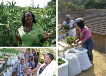 Nonhlanhla Joye, the founder and director of the Umgibe Farming Organics and Training Institute.