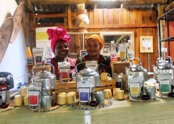Nondumiso Phaahla, 56 and her daughter Retang Phaahla, 26, at the Bryanston organic market.