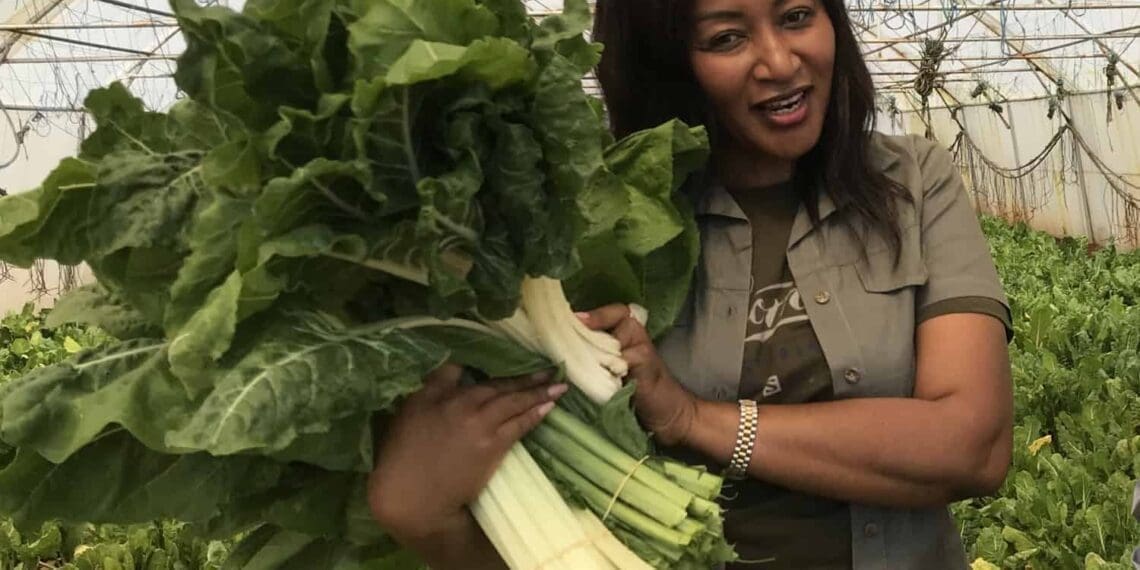 Dr Brylyne Chitsunge supplies vegetables to a number of supermarket chain stores.