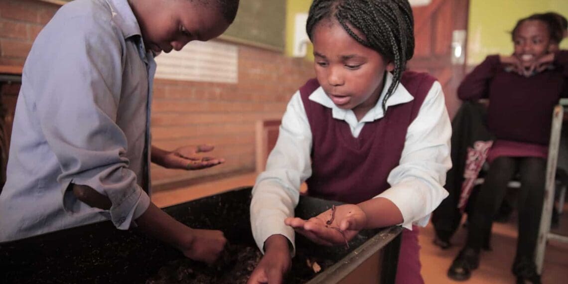 Earthchild Project teaches children how to create their own compost through worm farming which they can later use to grow their own food.