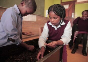 Earthchild Project teaches children how to create their own compost through worm farming which they can later use to grow their own food.