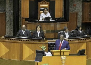 Finance Minister Tito Mboweni's maiden budget speech announced billions in support for new farmers. (Picture: Parliament of South Africa)