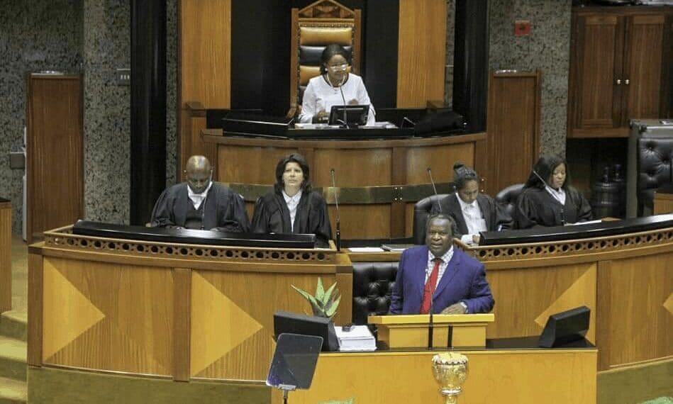 Finance Minister Tito Mboweni's maiden budget speech announced billions in support for new farmers. (Picture: Parliament of South Africa)