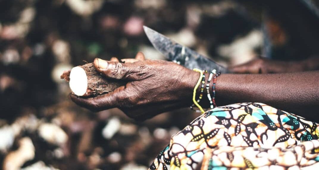 South Africa has a diverse range of indigenous food crops, which are a rich source of nutrition and is good for preventing chronic illnesses.