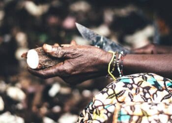 South Africa has a diverse range of indigenous food crops, which are a rich source of nutrition and is good for preventing chronic illnesses.