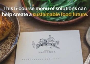 Don’t freak out, but how will we feed 9,8 bil. by 2050?