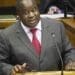 Let’s plant anew, says Mboweni in maiden budget speech