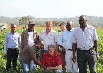 Rural food hubs key to delivering affordable, nutritious food