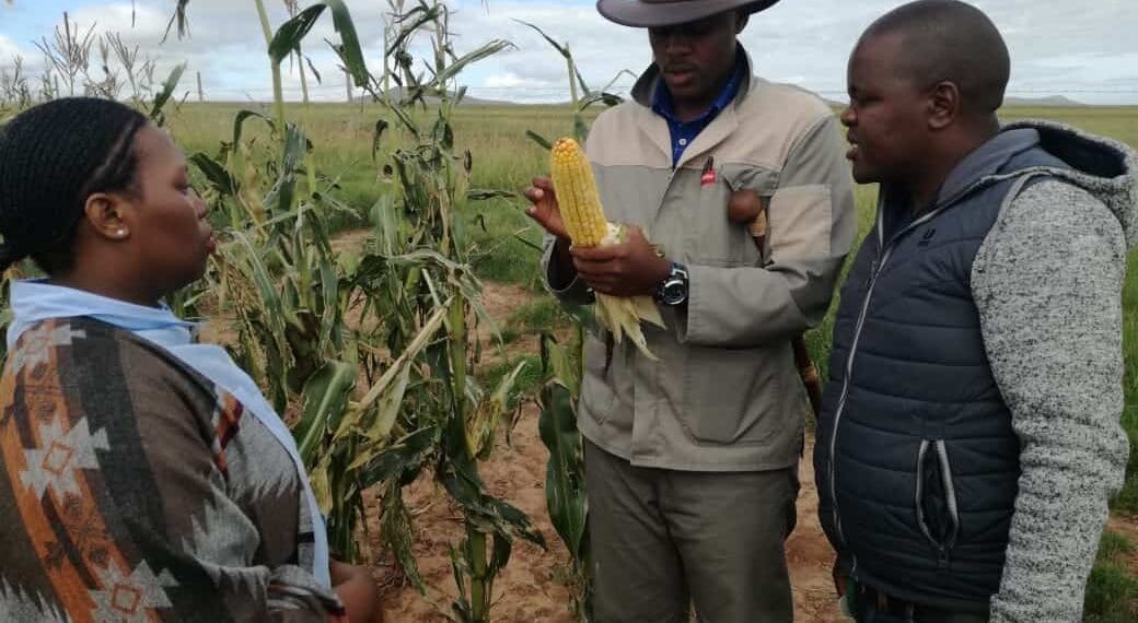 Together with young agri mentors Sinelizwi Fakade (middle), helps emerging farmers in the Eastern Cape. Here pictured with him is junior mentors Sinegugu Ndamase (left) and Mawande Bango (right).