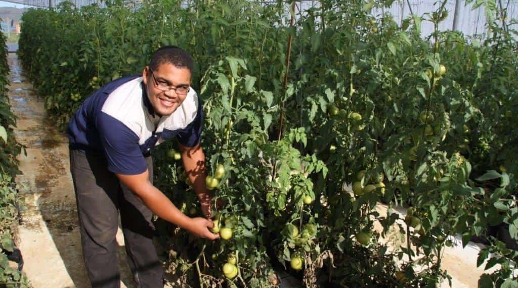 Byron Booysen, is a tomato farmer and a beneficiary of the commodity approach, says it is informative but a few thing can change within the program. Photo: Experience Matshediso (Casidra)