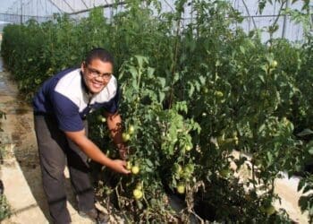 Byron Booysen, is a tomato farmer and a beneficiary of the commodity approach, says it is informative but a few thing can change within the program. Photo: Experience Matshediso (Casidra)