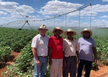 Nantie Fourie (GWK mentor) with farmers in the Taung area, North West.