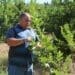 fruit farming