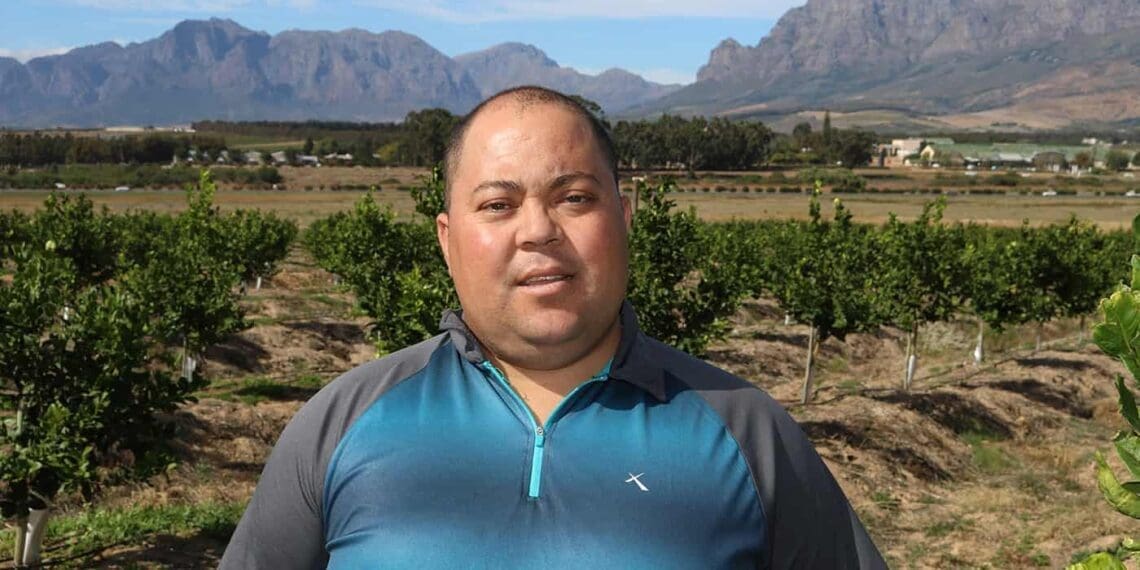 Minimum wage: Award-winning citrus farmer Wayne Mansfield. Photo: Supplied/Food For Mzansi