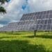 A dawn for South African agriculture as solar energy becomes affordable, even for small-scale farmers. Photo: Supplied.