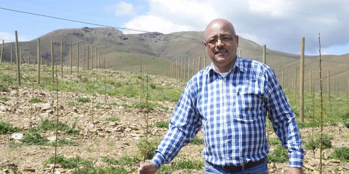 Fruit farmer André Cloete runs his company Altius Trading on leased land in Genadendal in the Western Cape. Photo: Carmé Naude
