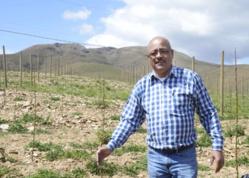 Fruit farmer André Cloete runs his company Altius Trading on leased land in Genadendal in the Western Cape. Photo: Carmé Naude