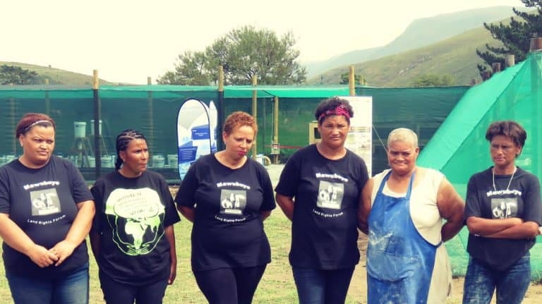 Six women from the Suurbraak community are running a aquaponics farm in the Overberg district near Swellendam in the Western Cape.