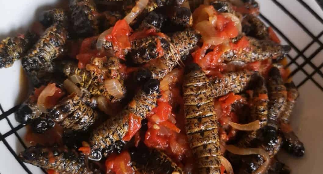 Kamogelo Maleka's Mopane Worms