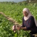Wadea Jappie is an award-winning farmer and director of Chamomile Farming Enterprises situated, in one of Cape Town’s largest townships, Phillipi.