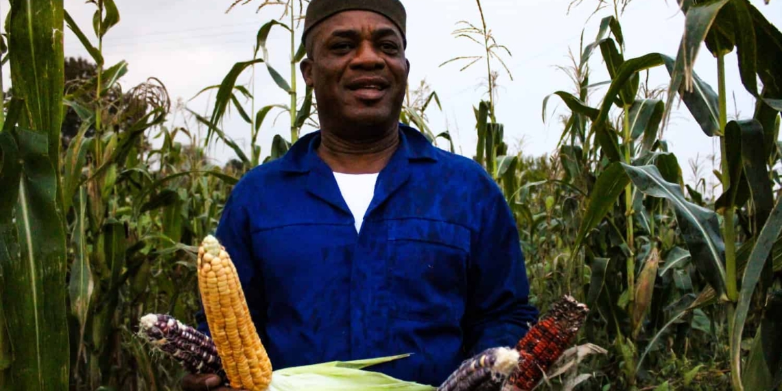 Edward Wisdom originally from the southeast of Nigeria has carved out a niche for himself by producing and selling produce that other African immigrants and expats struggle to find in South Africa.