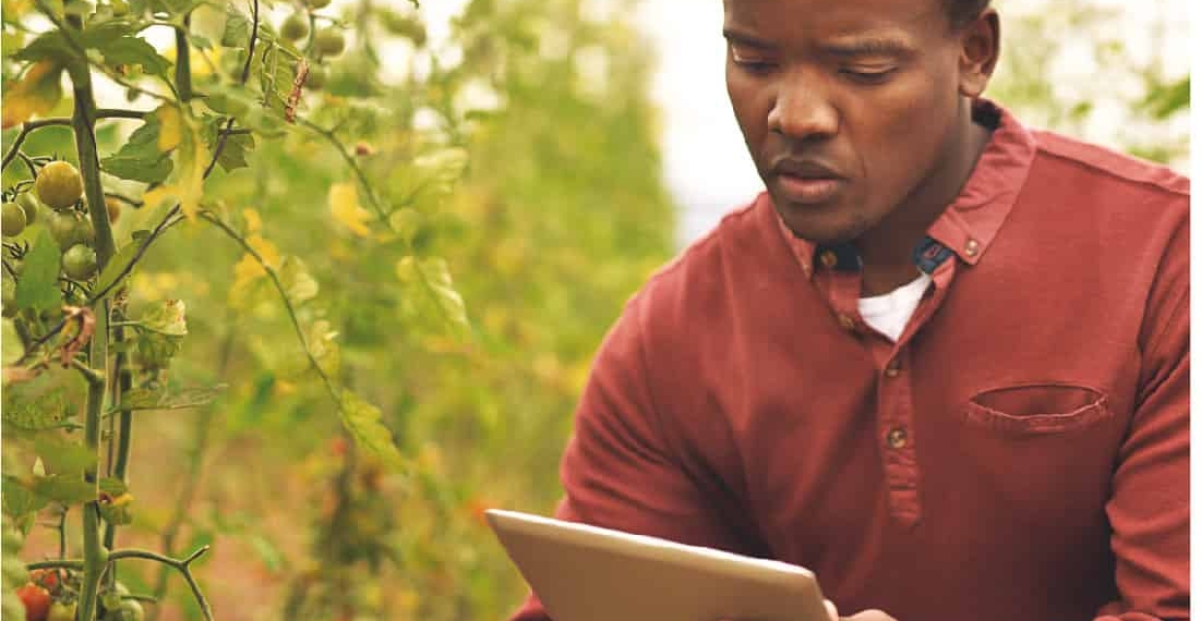 Generation Africa has announced its GoGettaz competition, that will award approximately R1,5 million in prize money to two exceptional business ventures in the agri-food sector.