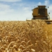 With fluctuating climate and economic conditions, diversifying your agriculture enterprise isn't an optional extra anymore - it's a requirement for success.