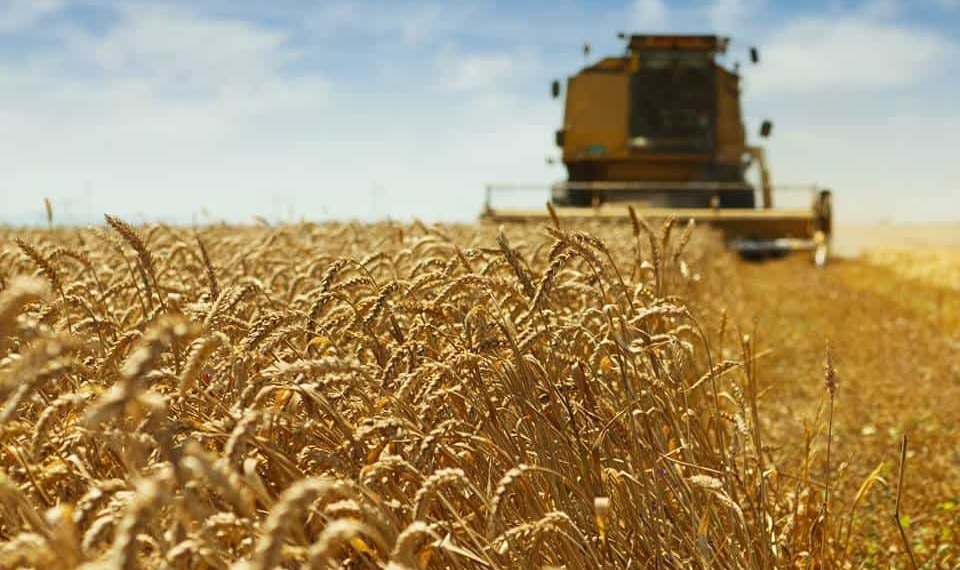 With fluctuating climate and economic conditions, diversifying your agriculture enterprise isn't an optional extra anymore - it's a requirement for success.
