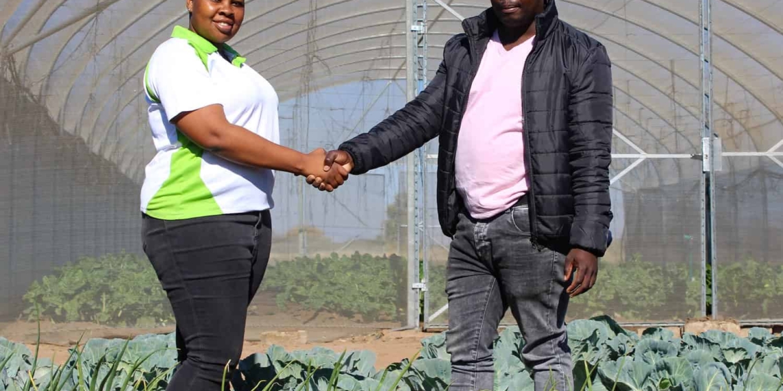 Young farmers Zanele Ntuli and Aaron Motau, both 29 years old, have a 6.2 hectare-farm in Winterveld that they use to feed over six thousand learners in seven schools around Gauteng and North West.
