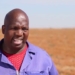 Vuyani Lolwane farms with maize, sunflower and wheat on his own, communal and land that he acquired through the Land Redistribution programme.