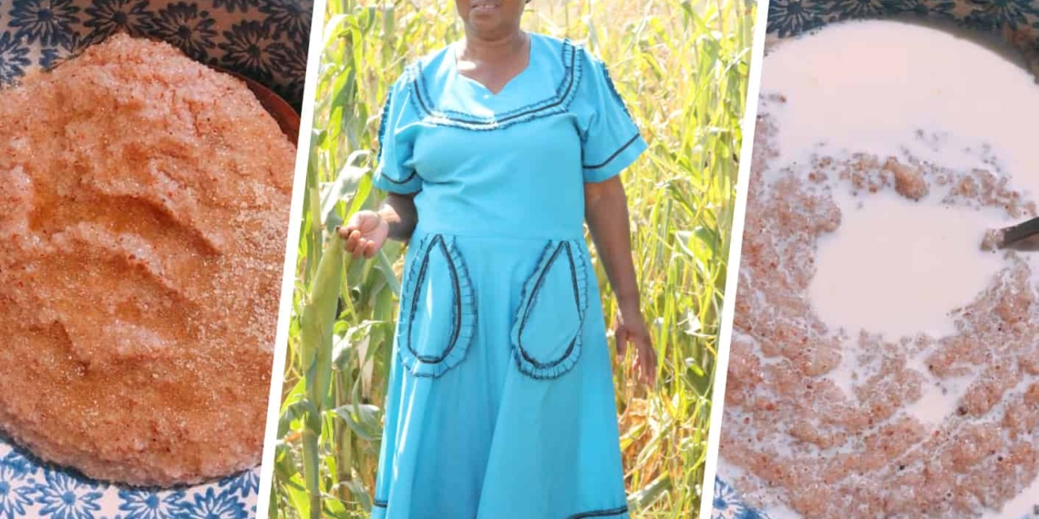 KwaZulu-Natal small scale farmer Nokuthula Khoza is using her extended maize crops to make masa to create other dishes for her family to enjoy.